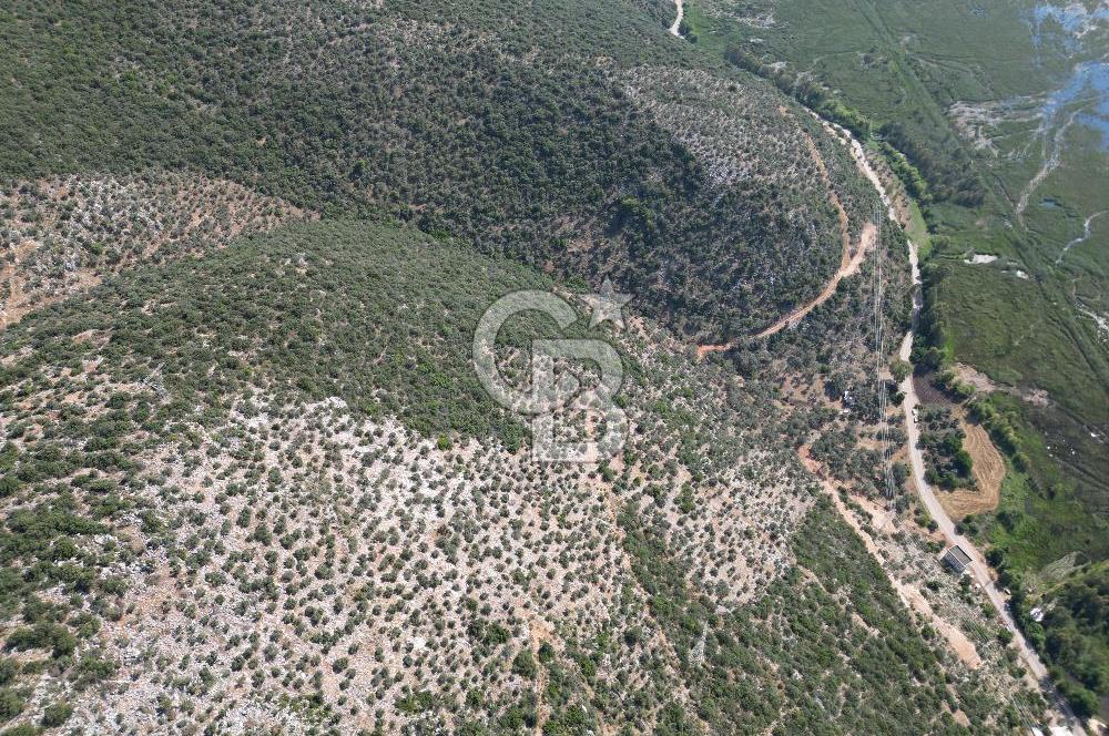 CB GİZ'DEN KAŞ ÜZÜMLÜ'DE SATILIK YATIRIMLIK ARAZİ