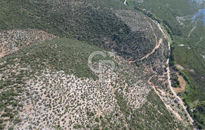 CB GİZ'DEN KAŞ ÜZÜMLÜ'DE SATILIK YATIRIMLIK ARAZİ
