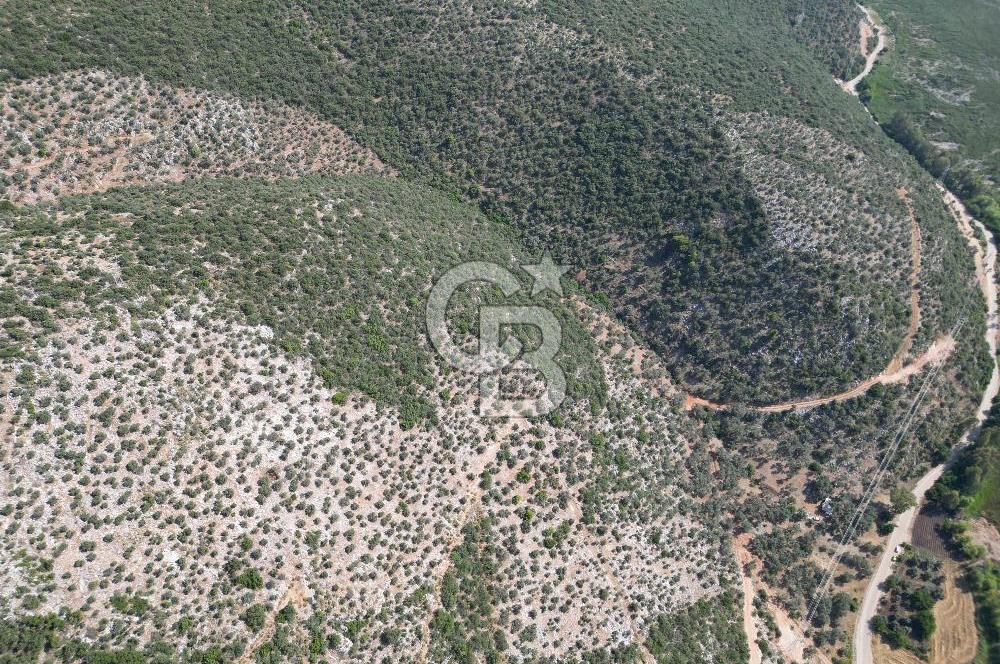 CB GİZ'DEN KAŞ ÜZÜMLÜ'DE SATILIK YATIRIMLIK ARAZİ