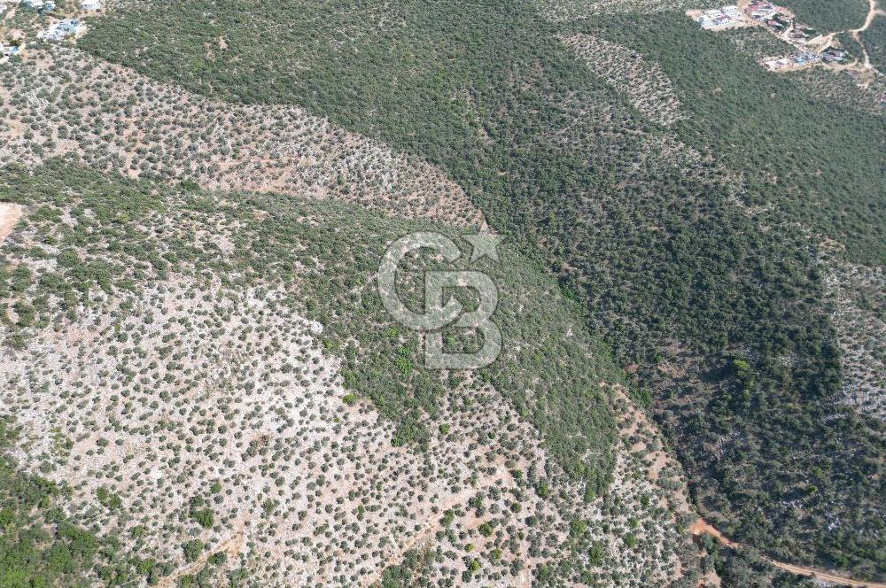 CB GİZ'DEN KAŞ ÜZÜMLÜ'DE SATILIK YATIRIMLIK ARAZİ