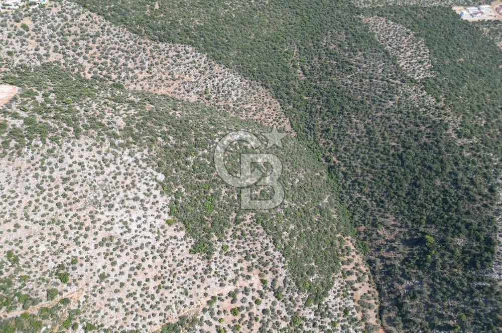 CB GİZ'DEN KAŞ ÜZÜMLÜ'DE SATILIK YATIRIMLIK ARAZİ