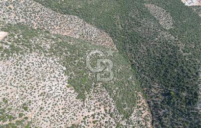 CB GİZ'DEN KAŞ ÜZÜMLÜ'DE SATILIK YATIRIMLIK ARAZİ