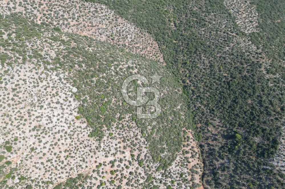 CB GİZ'DEN KAŞ ÜZÜMLÜ'DE SATILIK YATIRIMLIK ARAZİ