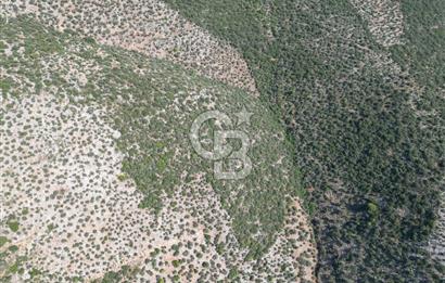 CB GİZ'DEN KAŞ ÜZÜMLÜ'DE SATILIK YATIRIMLIK ARAZİ