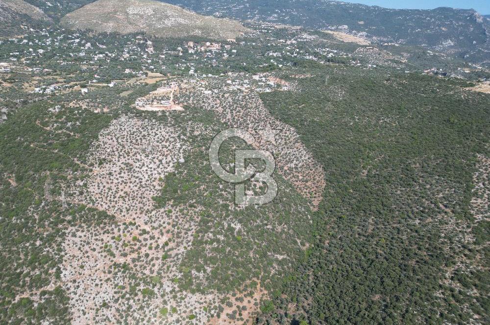 CB GİZ'DEN KAŞ ÜZÜMLÜ'DE SATILIK YATIRIMLIK ARAZİ