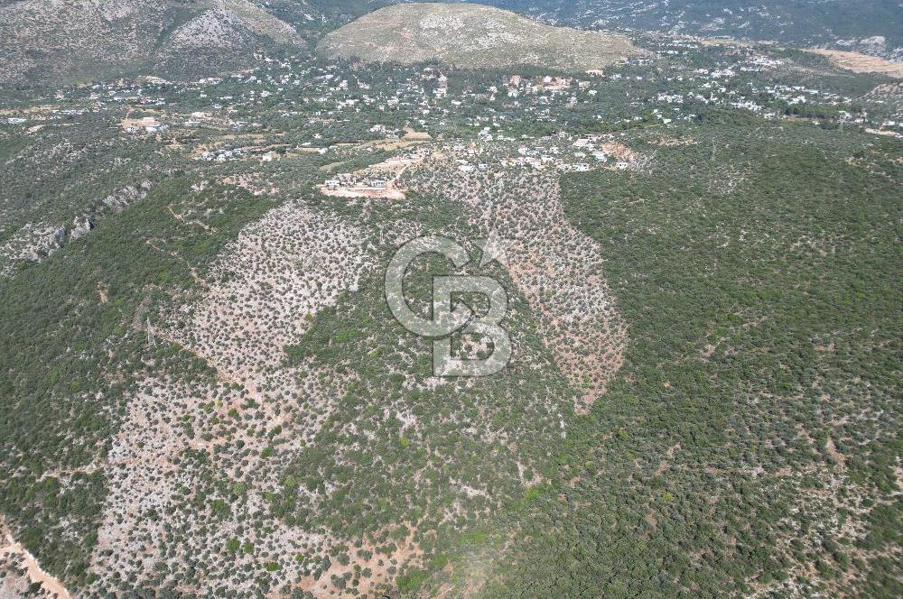 CB GİZ'DEN KAŞ ÜZÜMLÜ'DE SATILIK YATIRIMLIK ARAZİ