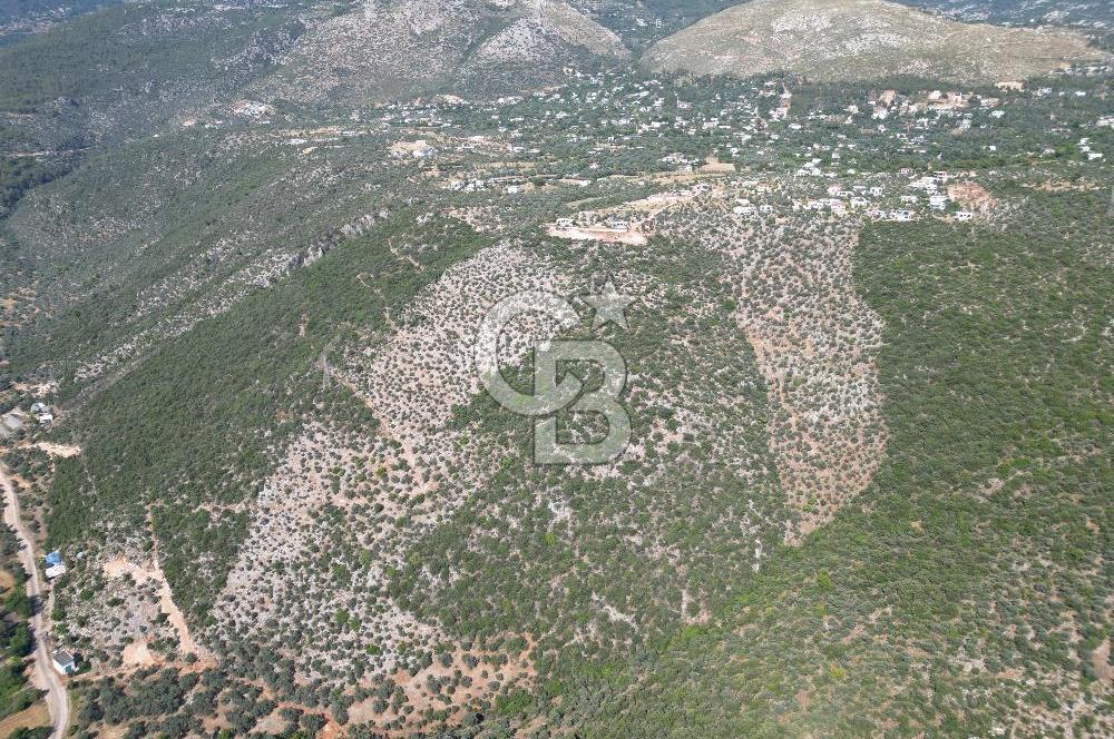 CB GİZ'DEN KAŞ ÜZÜMLÜ'DE SATILIK YATIRIMLIK ARAZİ