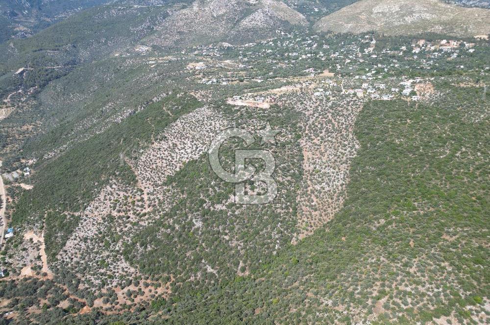 CB GİZ'DEN KAŞ ÜZÜMLÜ'DE SATILIK YATIRIMLIK ARAZİ