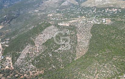 CB GİZ'DEN KAŞ ÜZÜMLÜ'DE SATILIK YATIRIMLIK ARAZİ
