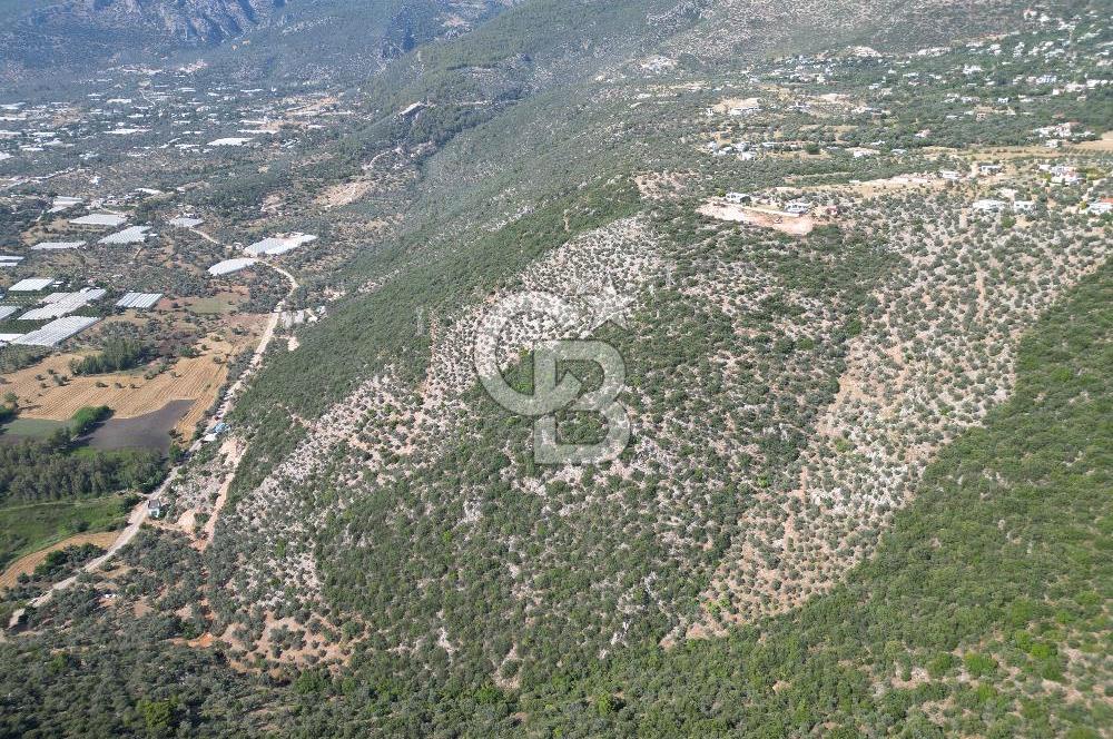 CB GİZ'DEN KAŞ ÜZÜMLÜ'DE SATILIK YATIRIMLIK ARAZİ
