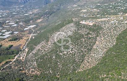 CB GİZ'DEN KAŞ ÜZÜMLÜ'DE SATILIK YATIRIMLIK ARAZİ