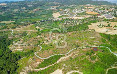 Kuşadası Soğucak’ta 319,47m² Satılık Konut İmarlı Arsa!