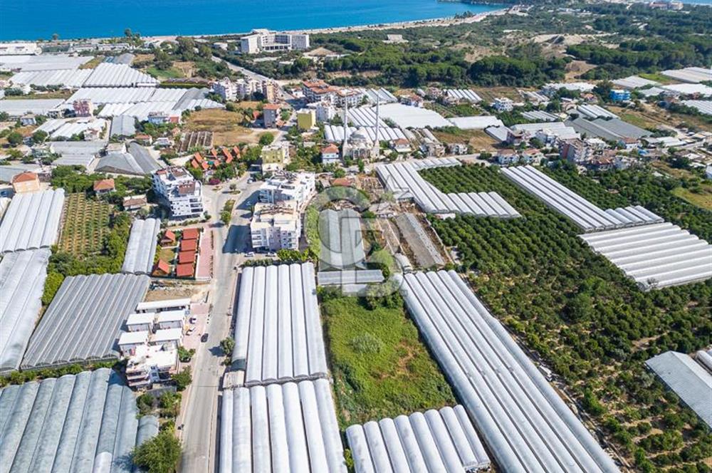 CB ARDENDEN ANTALYA DEMRE BÜYÜKKUMDA 3221 M2 SATILIK TARLA