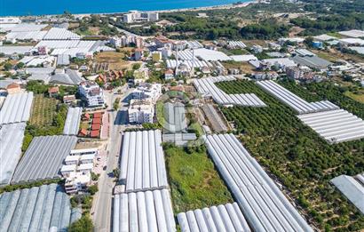 CB ARDENDEN ANTALYA DEMRE BÜYÜKKUMDA 3221 M2 SATILIK TARLA