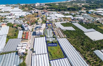 CB ARDENDEN ANTALYA DEMRE BÜYÜKKUMDA 3221 M2 SATILIK TARLA