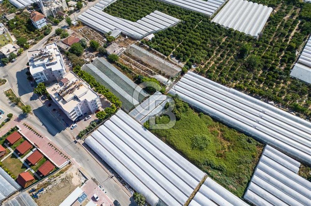 CB ARDENDEN ANTALYA DEMRE BÜYÜKKUMDA 3221 M2 SATILIK TARLA