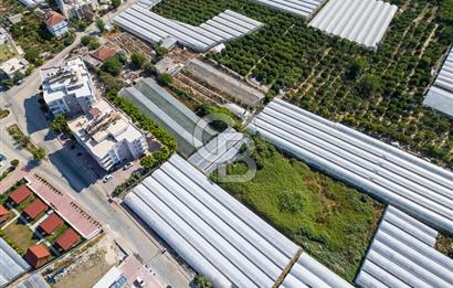 CB ARDENDEN ANTALYA DEMRE BÜYÜKKUMDA 3221 M2 SATILIK TARLA