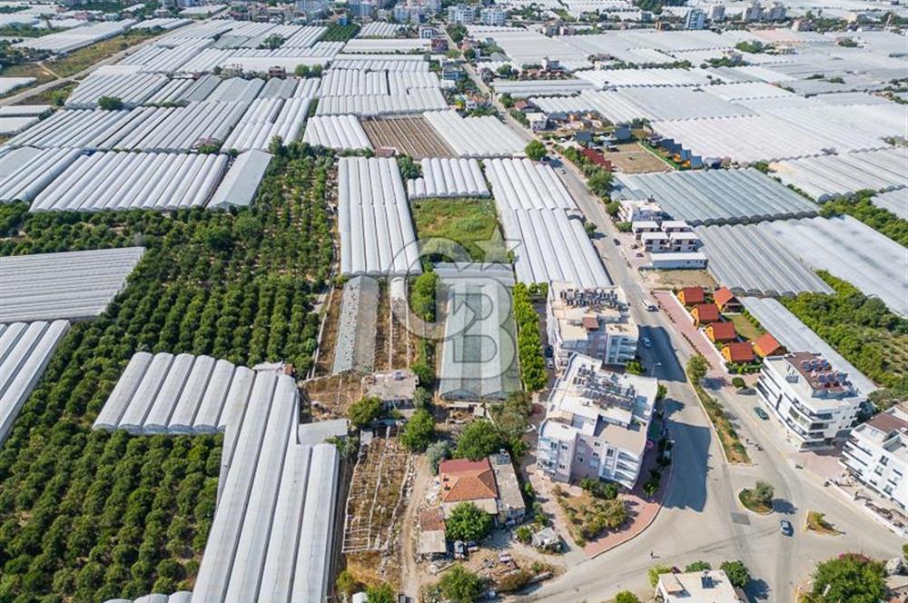 CB ARDENDEN ANTALYA DEMRE BÜYÜKKUMDA 3221 M2 SATILIK TARLA