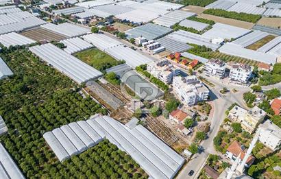 CB ARDENDEN ANTALYA DEMRE BÜYÜKKUMDA 3221 M2 SATILIK TARLA