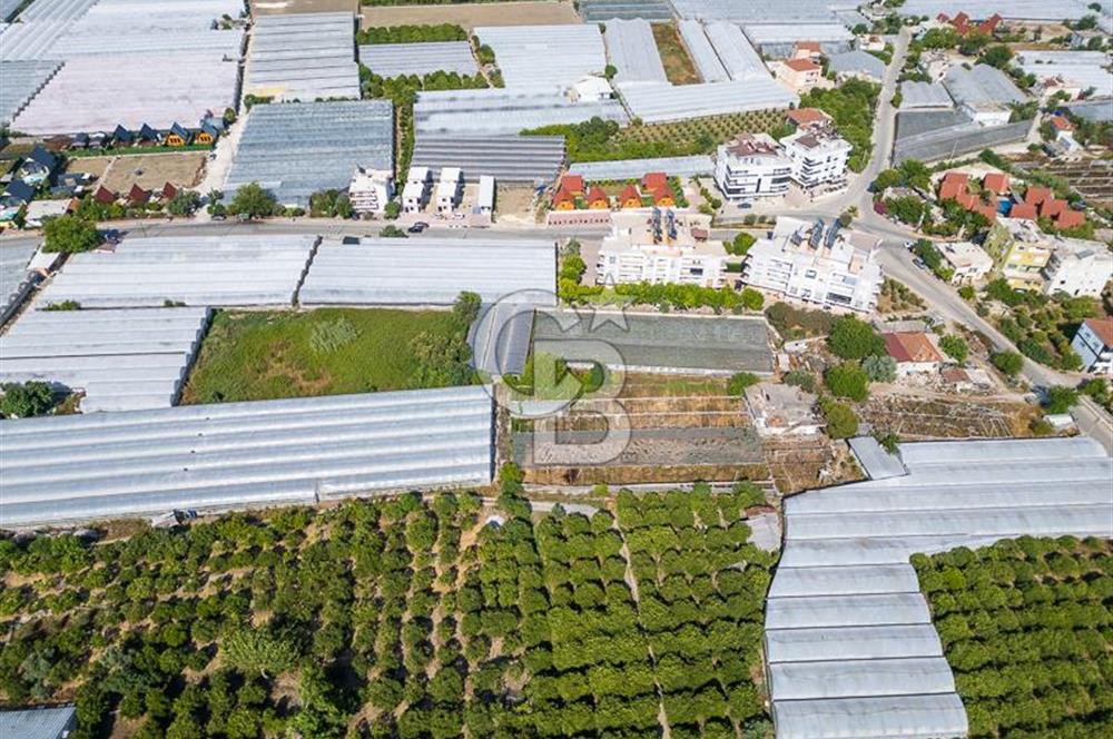 CB ARDENDEN ANTALYA DEMRE BÜYÜKKUMDA 3221 M2 SATILIK TARLA