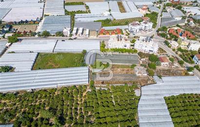 CB ARDENDEN ANTALYA DEMRE BÜYÜKKUMDA 3221 M2 SATILIK TARLA