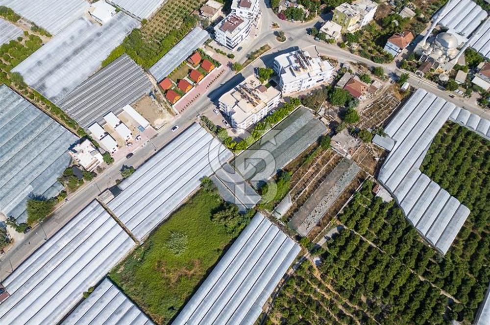 CB ARDENDEN ANTALYA DEMRE BÜYÜKKUMDA 3221 M2 SATILIK TARLA
