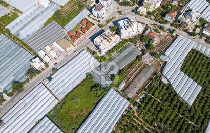 CB ARDENDEN ANTALYA DEMRE BÜYÜKKUMDA 3221 M2 SATILIK TARLA