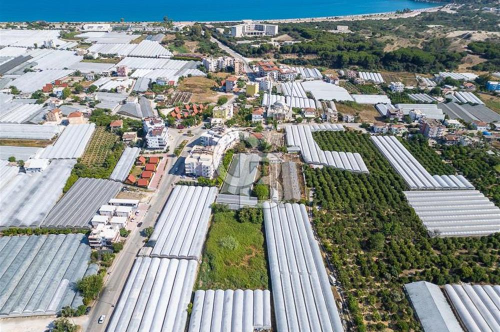 CB ARDENDEN ANTALYA DEMRE BÜYÜKKUMDA 3221 M2 SATILIK TARLA