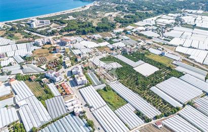 CB ARDENDEN ANTALYA DEMRE BÜYÜKKUMDA 3221 M2 SATILIK TARLA