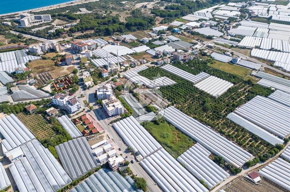 CB ARDENDEN ANTALYA DEMRE BÜYÜKKUMDA 3221 M2 SATILIK TARLA
