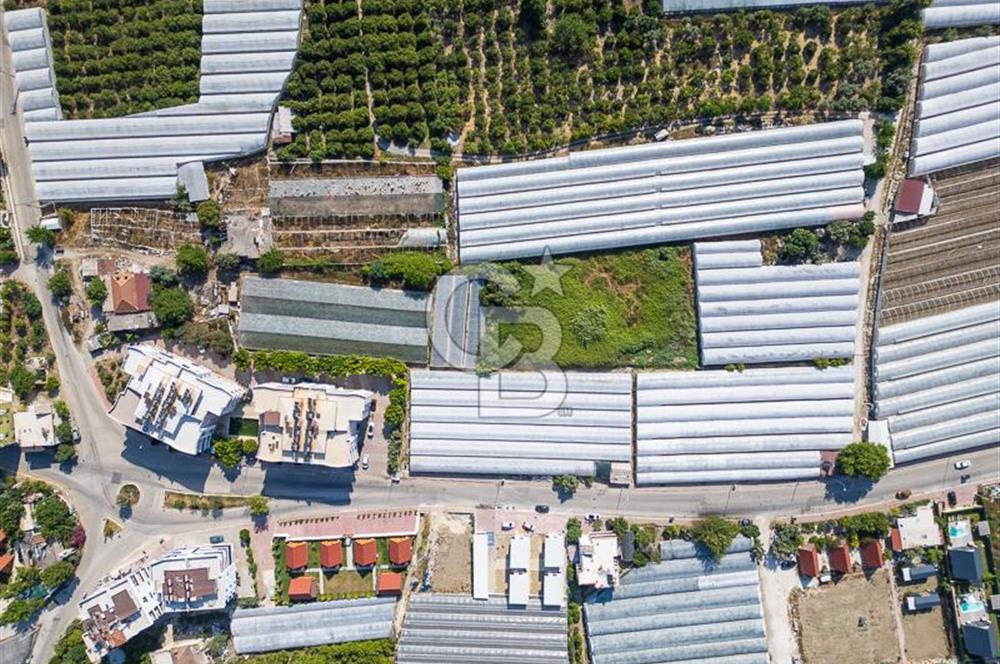 CB ARDENDEN ANTALYA DEMRE BÜYÜKKUMDA 3221 M2 SATILIK TARLA