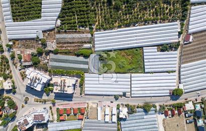 CB ARDENDEN ANTALYA DEMRE BÜYÜKKUMDA 3221 M2 SATILIK TARLA
