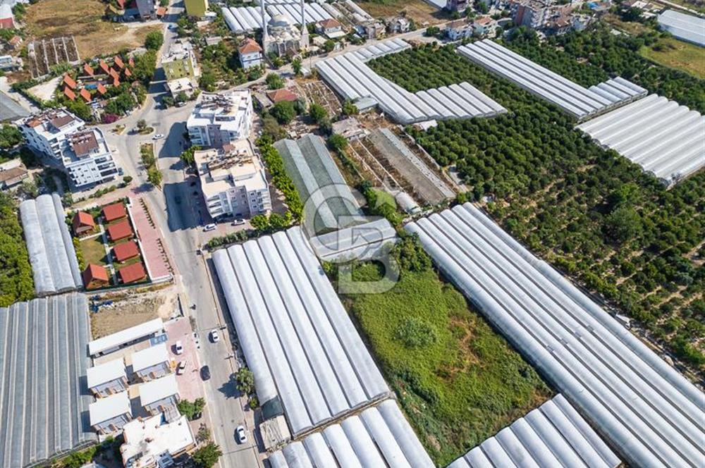 CB ARDENDEN ANTALYA DEMRE BÜYÜKKUMDA 3221 M2 SATILIK TARLA