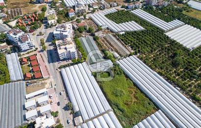 CB ARDENDEN ANTALYA DEMRE BÜYÜKKUMDA 3221 M2 SATILIK TARLA
