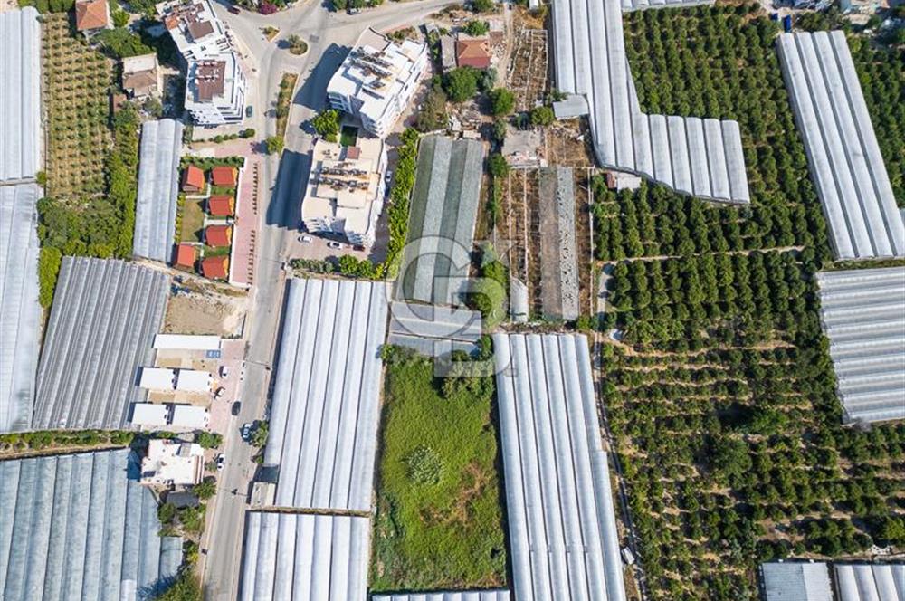 CB ARDENDEN ANTALYA DEMRE BÜYÜKKUMDA 3221 M2 SATILIK TARLA