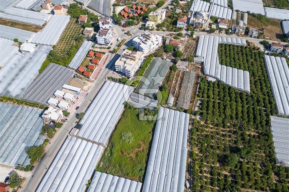 CB ARDENDEN ANTALYA DEMRE BÜYÜKKUMDA 3221 M2 SATILIK TARLA