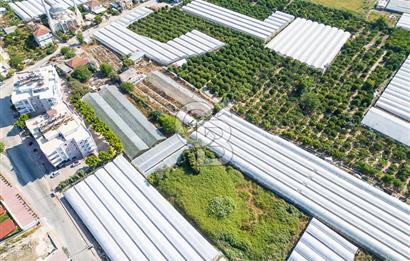 CB ARDENDEN ANTALYA DEMRE BÜYÜKKUMDA 3221 M2 SATILIK TARLA