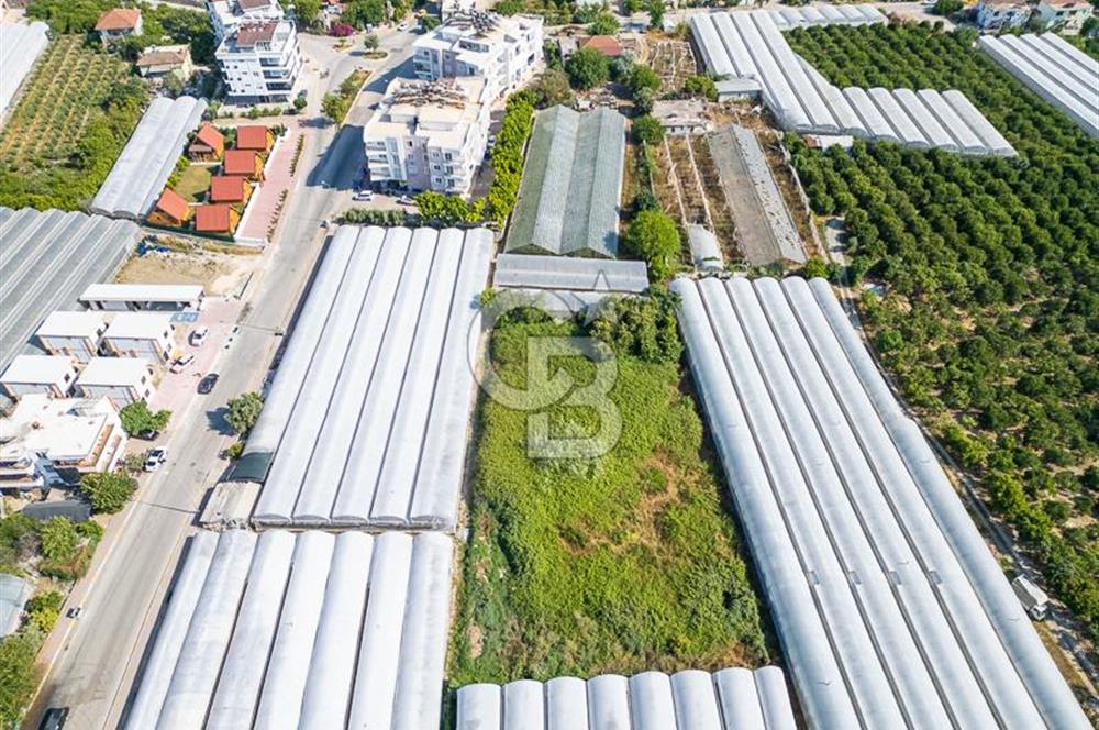 CB ARDENDEN ANTALYA DEMRE BÜYÜKKUMDA 3221 M2 SATILIK TARLA