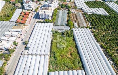 CB ARDENDEN ANTALYA DEMRE BÜYÜKKUMDA 3221 M2 SATILIK TARLA