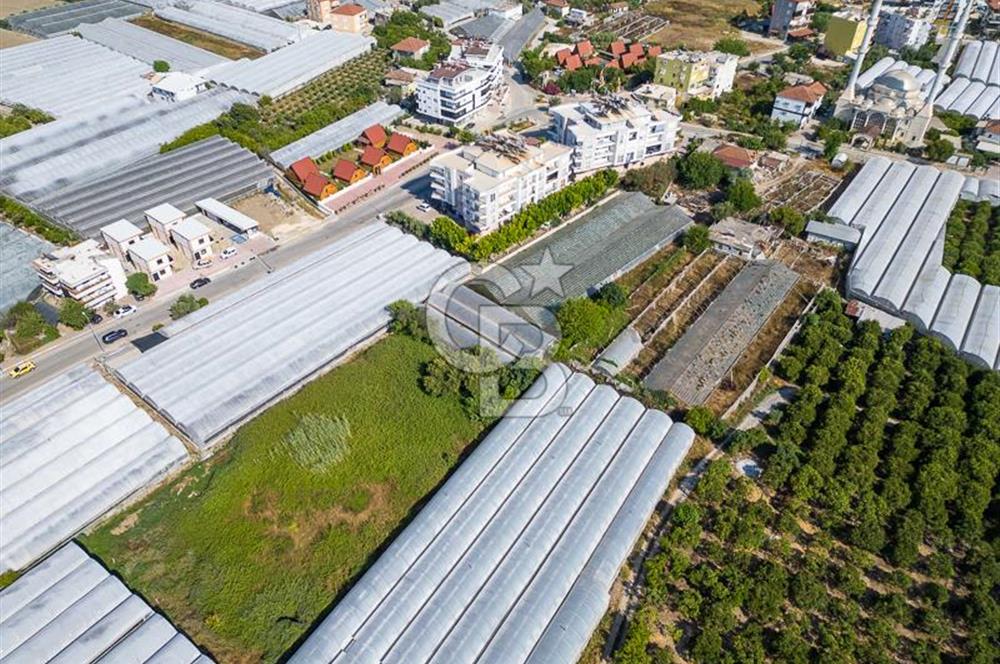 CB ARDENDEN ANTALYA DEMRE BÜYÜKKUMDA 3221 M2 SATILIK TARLA