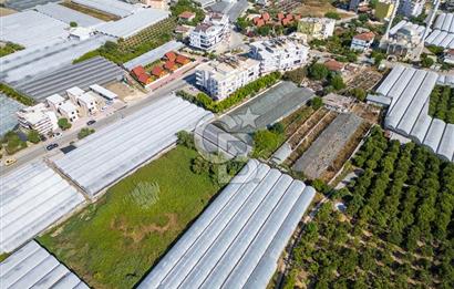 CB ARDENDEN ANTALYA DEMRE BÜYÜKKUMDA 3221 M2 SATILIK TARLA