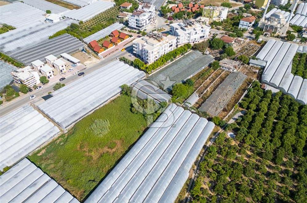 CB ARDENDEN ANTALYA DEMRE BÜYÜKKUMDA 3221 M2 SATILIK TARLA