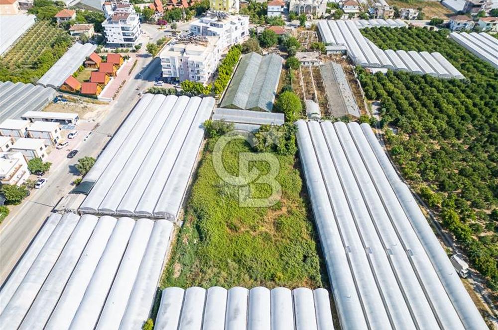 CB ARDENDEN ANTALYA DEMRE BÜYÜKKUMDA 3221 M2 SATILIK TARLA