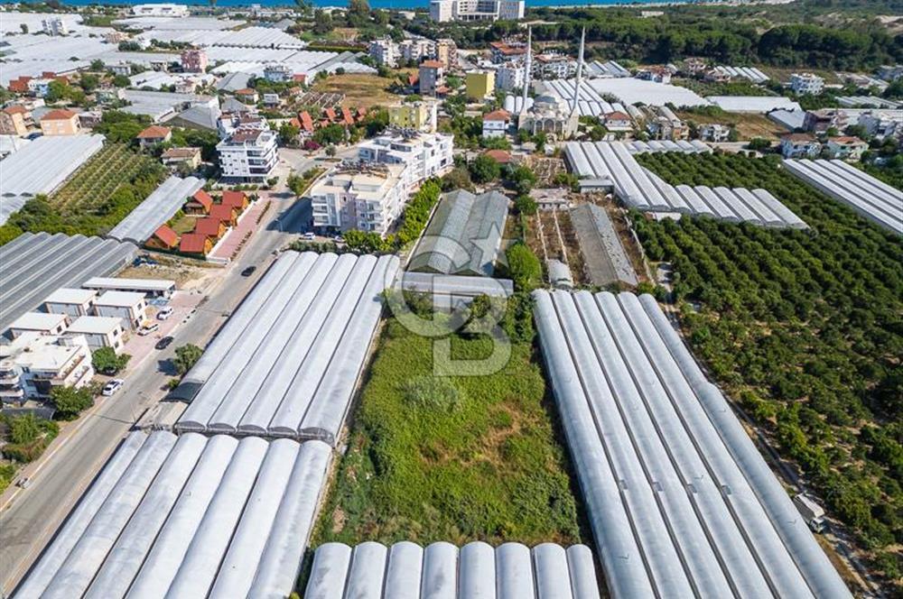 CB ARDENDEN ANTALYA DEMRE BÜYÜKKUMDA 3221 M2 SATILIK TARLA