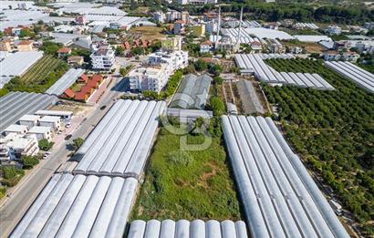 CB ARDENDEN ANTALYA DEMRE BÜYÜKKUMDA 3221 M2 SATILIK TARLA