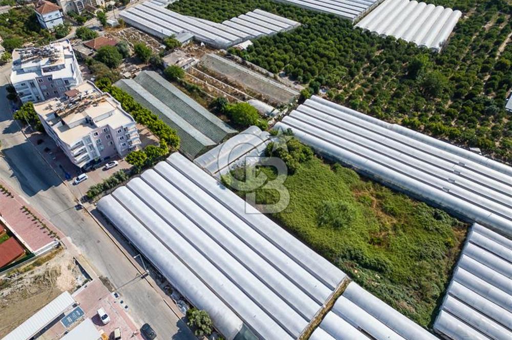 CB ARDENDEN ANTALYA DEMRE BÜYÜKKUMDA 3221 M2 SATILIK TARLA