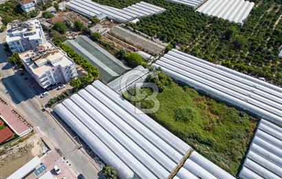 CB ARDENDEN ANTALYA DEMRE BÜYÜKKUMDA 3221 M2 SATILIK TARLA