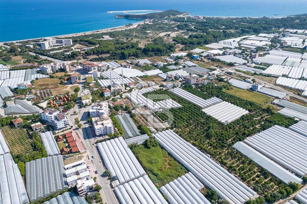 CB ARDENDEN ANTALYA DEMRE BÜYÜKKUMDA 3221 M2 SATILIK TARLA