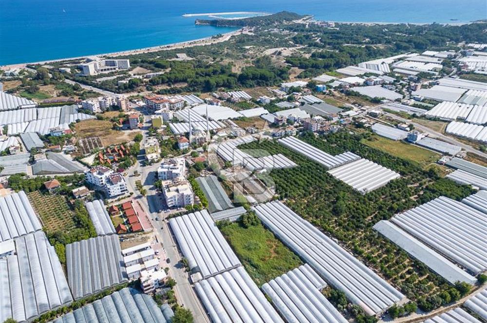 CB ARDENDEN ANTALYA DEMRE BÜYÜKKUMDA 3221 M2 SATILIK TARLA