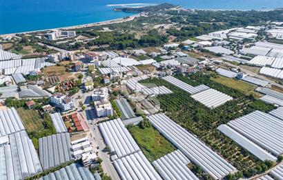 CB ARDENDEN ANTALYA DEMRE BÜYÜKKUMDA 3221 M2 SATILIK TARLA